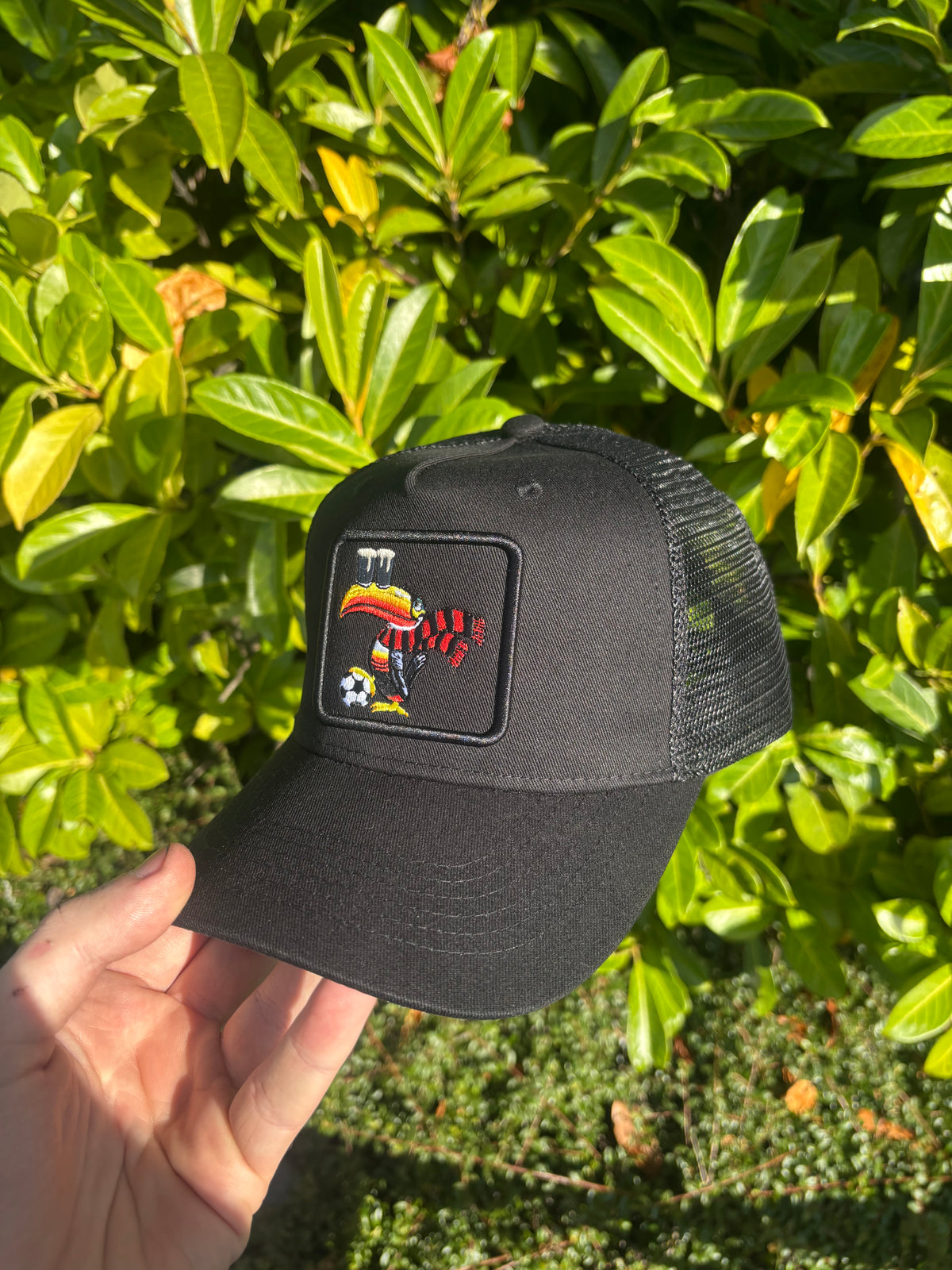 The Essential Cap